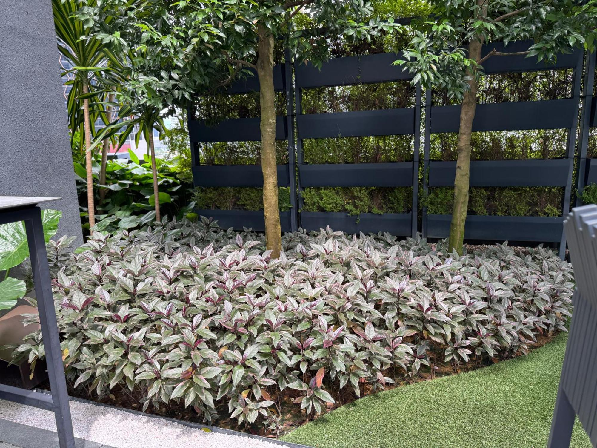 Cozy Comfy & Affordable Place At Klcc Kuala Lumpur